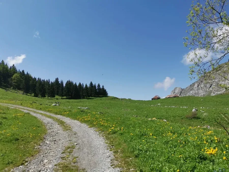 Combe d'Ire gravel - single trail Bauges Haute-Savoie