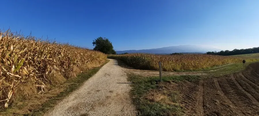 Gorges du Fier - chemin agricole gravel Albanais Annecy