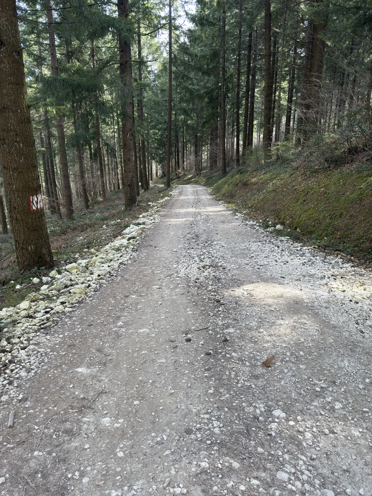 La Chambotte - descente engagée gravel Annecy