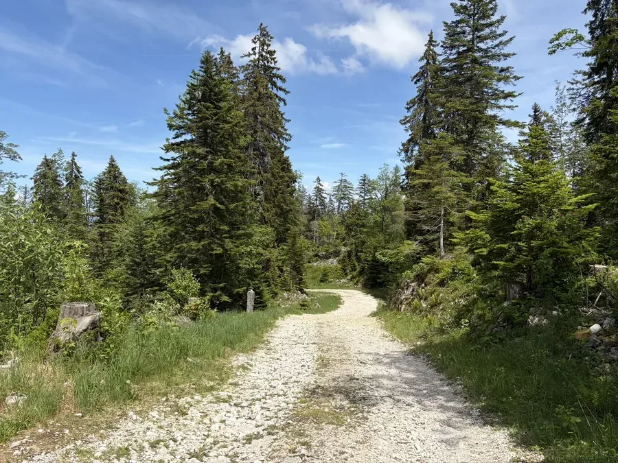 Montée du Semnoz 100% Gravel - vue sur le lac d'Annecy depuis le Semnoz
