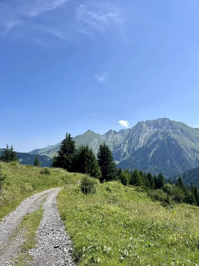 Tour de la Tournette gravel - chemin forestier automne Annecy