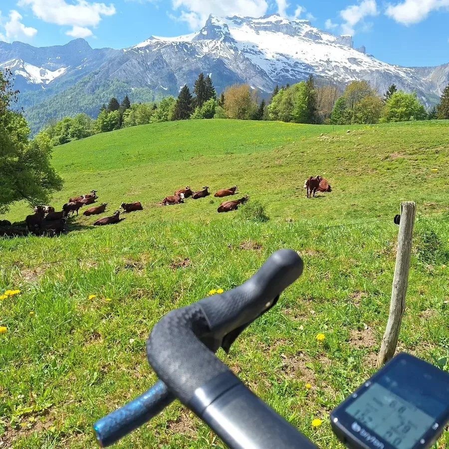 Tour de la Tournette gravel - chemin alpage Plan Bois Aravis