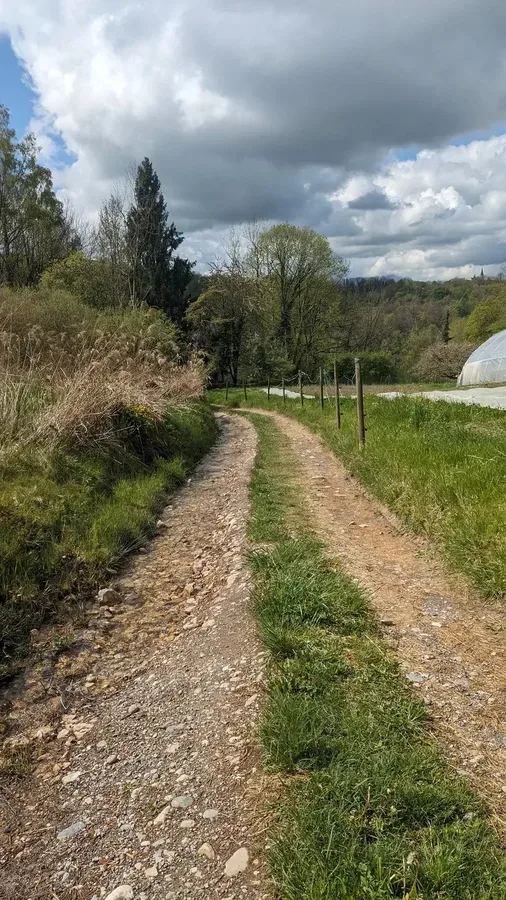 Tour du Semnoz - chemin forestier Semnoz Annecy